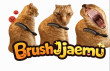 Brush Jjaemu img