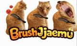 Brush Jjaemu img