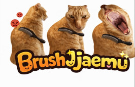 Brush Jjaemu img
