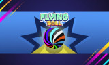 Flying Ball img