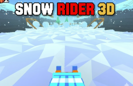 Snow Rider 3D img