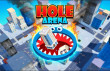 Hole Arena img