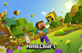 Minecraft img