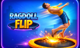 Ragdoll Flip img