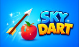 Sky Dart img