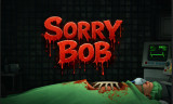 Sorry Bob img