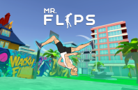 Mr Flip img