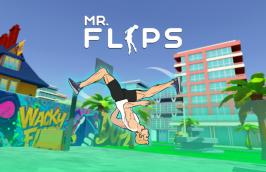 Mr Flip img