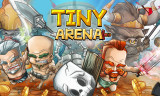 Tiny Arena img